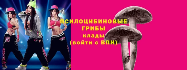 тгк Магас