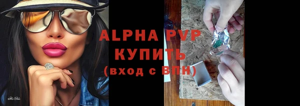 тгк Магас