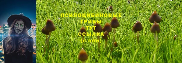 тгк Магас