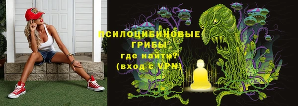 тгк Магас
