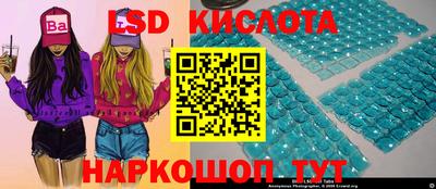 Альфа ПВП Кандалакша