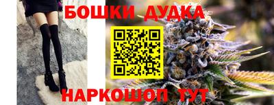 Альфа ПВП Кандалакша