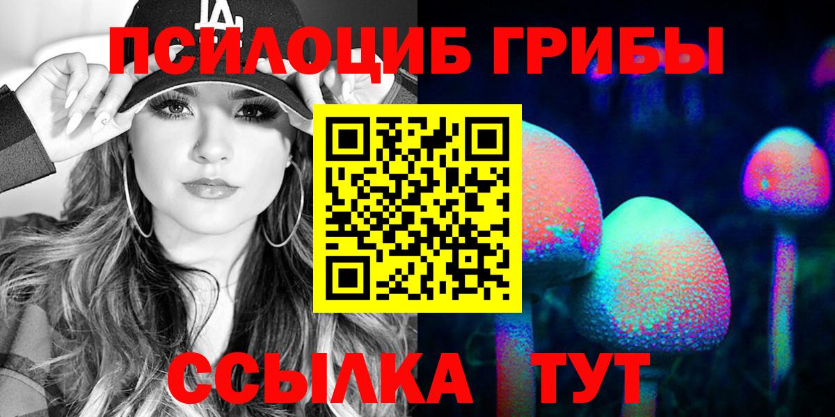 Псилоцибиновые грибы Psilocybe Топки