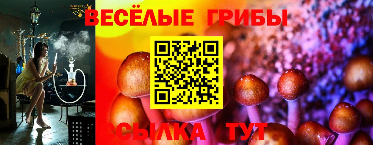 Псилоцибиновые грибы ЛСД  Вход с VPN  Галлюциногенные грибы Psilocybine cubensis  Топки 