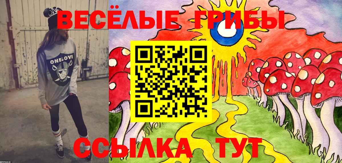 Псилоцибиновые грибы Cubensis  Топки  Галлюциногенные грибы мицелий 